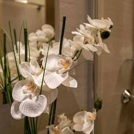 N4 Factory Lägenhet